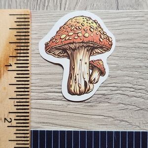 10/$10 Stickers Mushrooms Nature Fungi